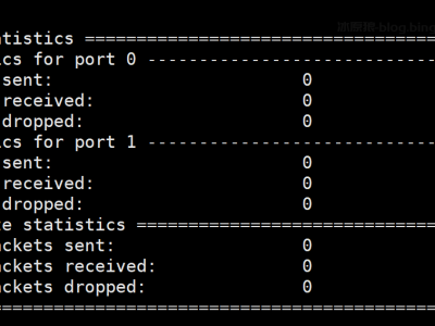 ubuntu22.04虚拟机搭建DPDK24.07开发环境